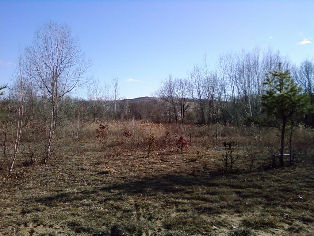 Pine Bush and Dump