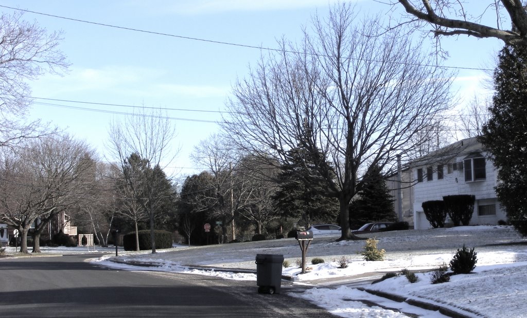 Street in Winter