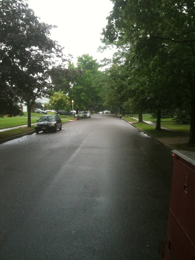 Wet street