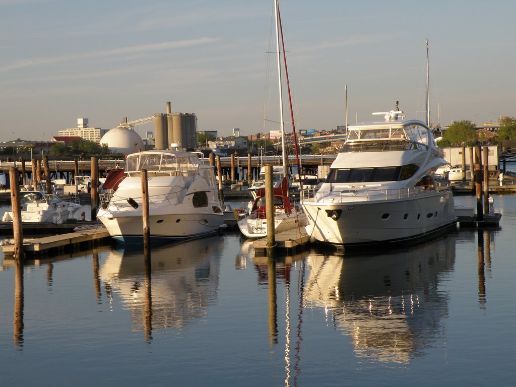 Boats at World Marina NY.