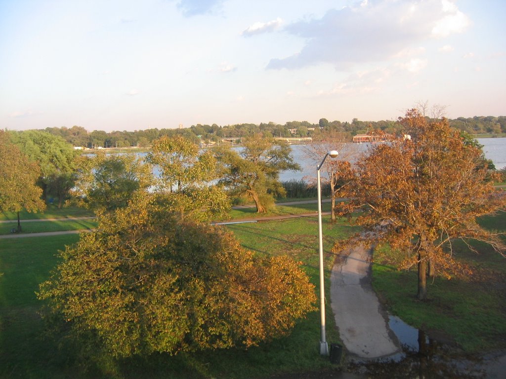Flushing Meadows