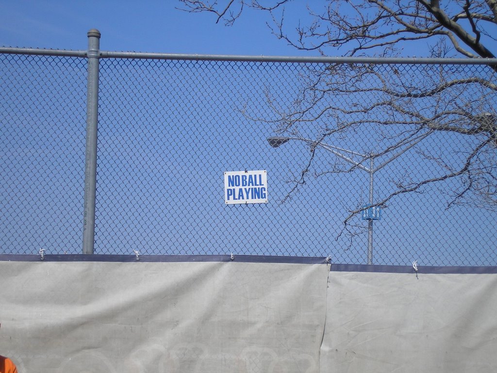 Shea Stadium, Autism Awareness Day, 4/17/05