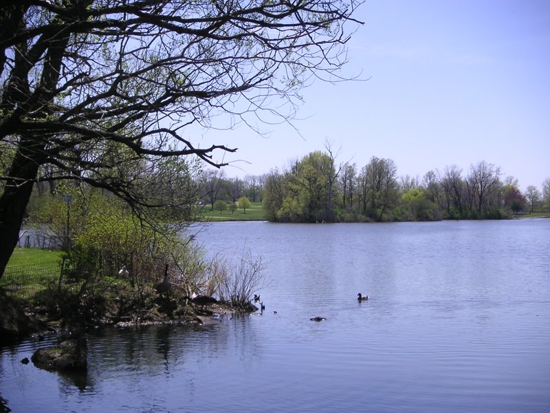 South Park Lake