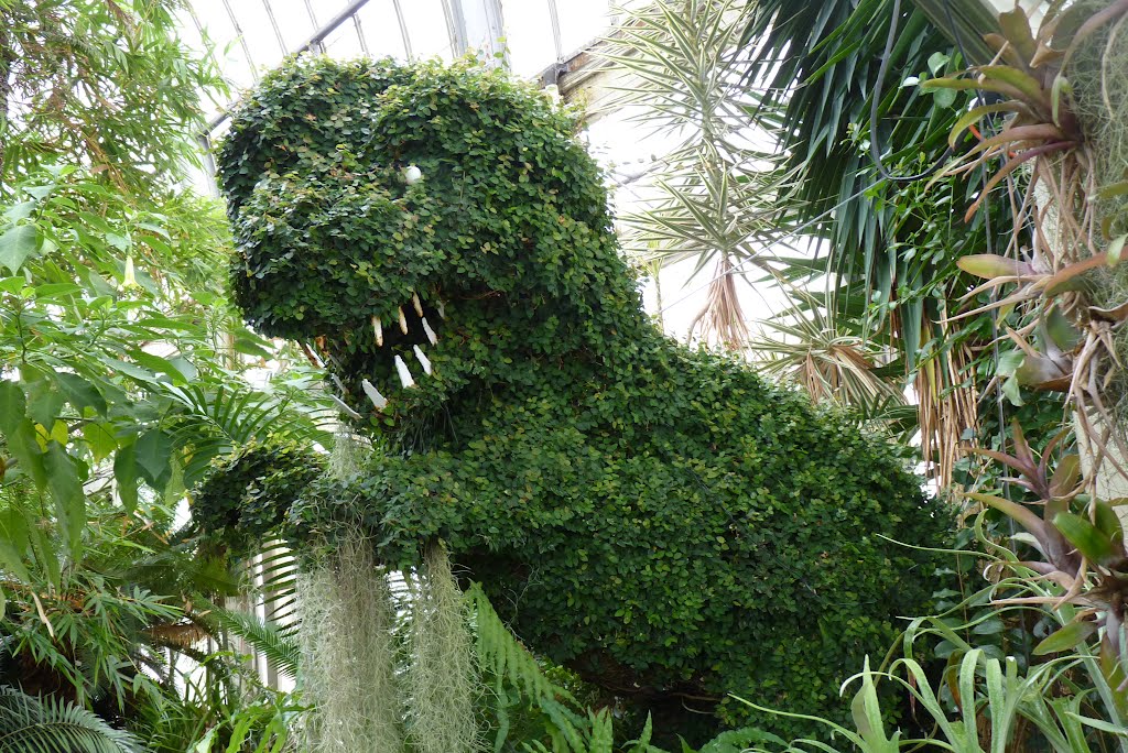 Ancient Rainforest Pavilion at Buffalo Botanical Gardens