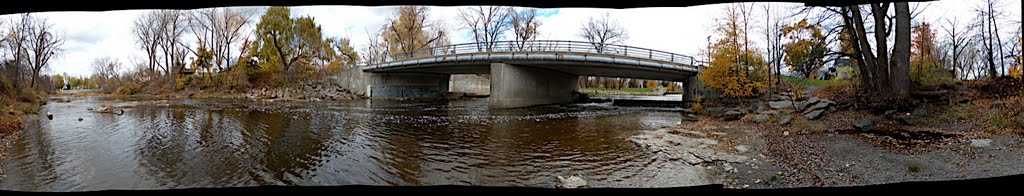 The large, multiple trunk tree on the right is also shown in a panorama going up its height, and another closer view of its base.  The creek is fairly straight in this section but appears to curve as a result of stitching photos together to make the panor
