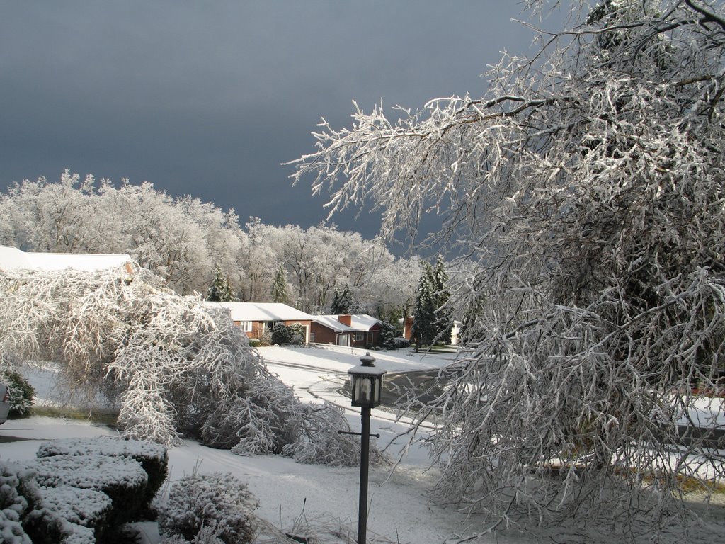 ice storm Dec 12, 2008
