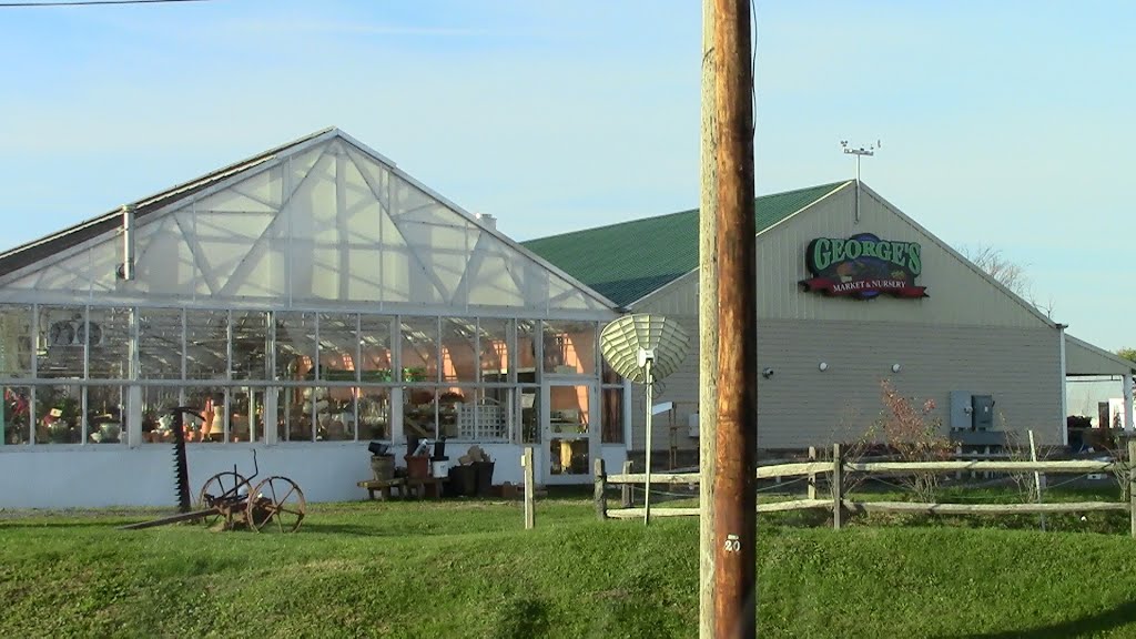 Georges Market & Nursery   Colonie, NY