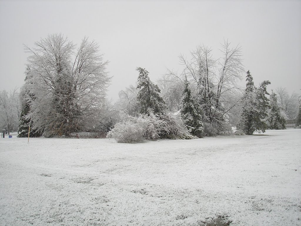 Snow Day  Colonie, NY, USA