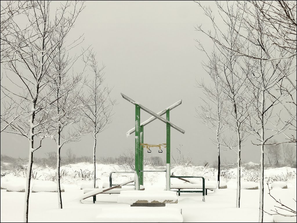 pull-ups anyone?