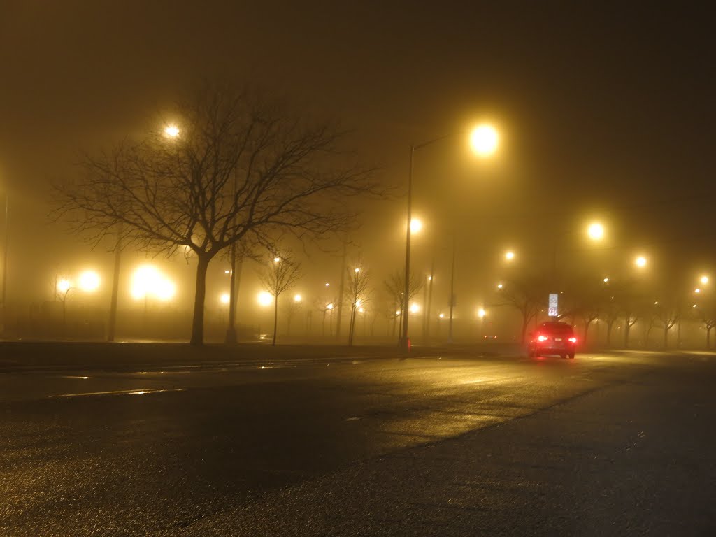 Seagirt Ave