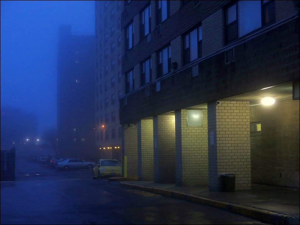 Blue foggy evening