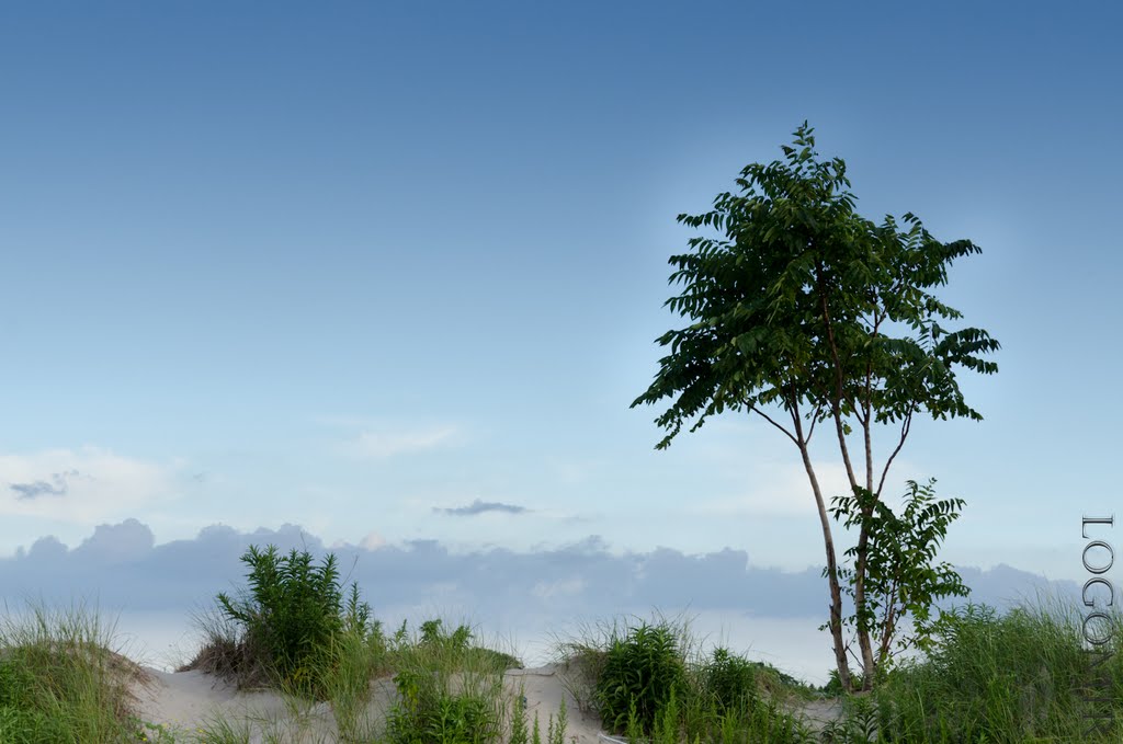 Far Rockaway beach