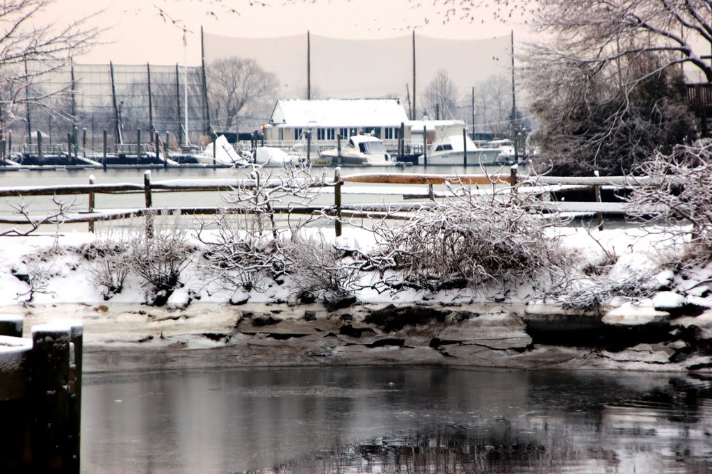 winter at the marina