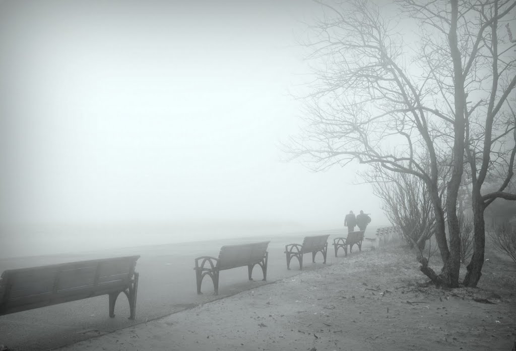 Fog is a collection of liquid water droplets or ice crystals suspended in the air at or near the Earths surface...