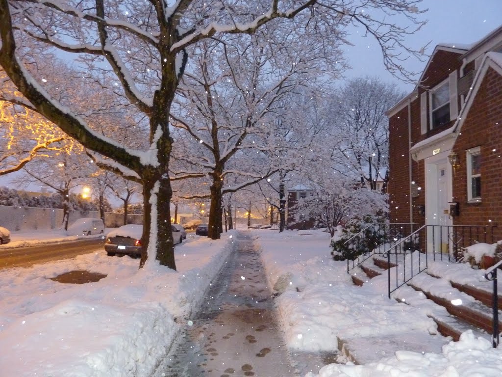 Winter in Glen Oaks