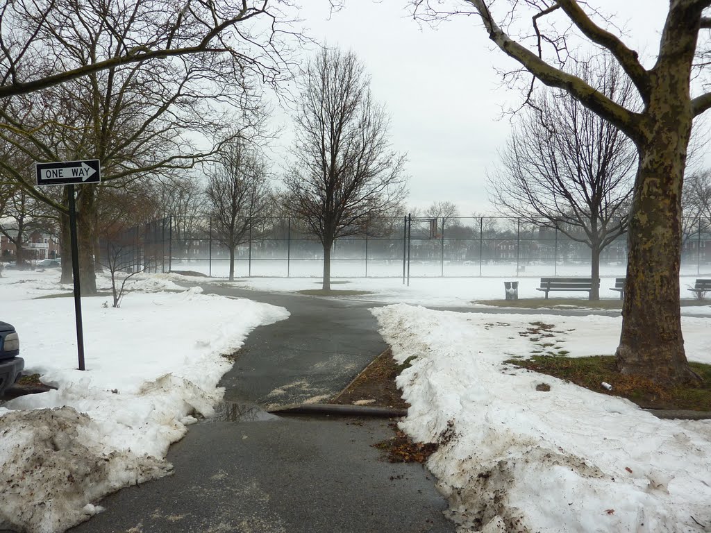 Fog in the Oval