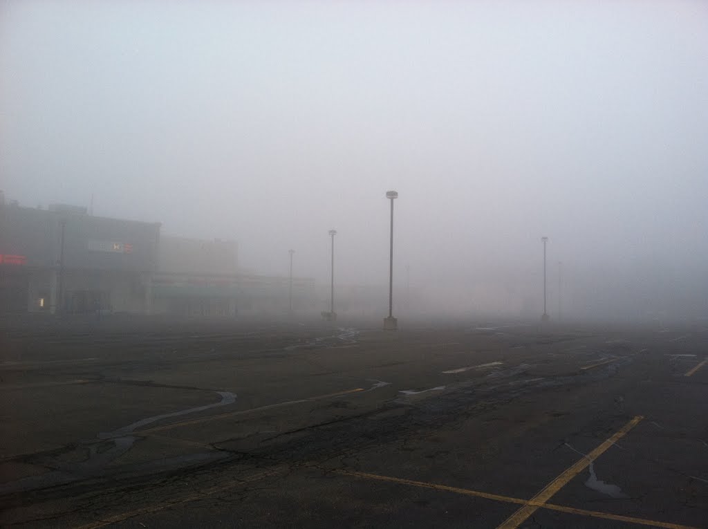 Foggy morning