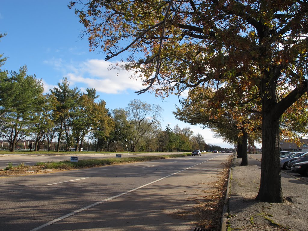 Union Turnpike Long Island New York
