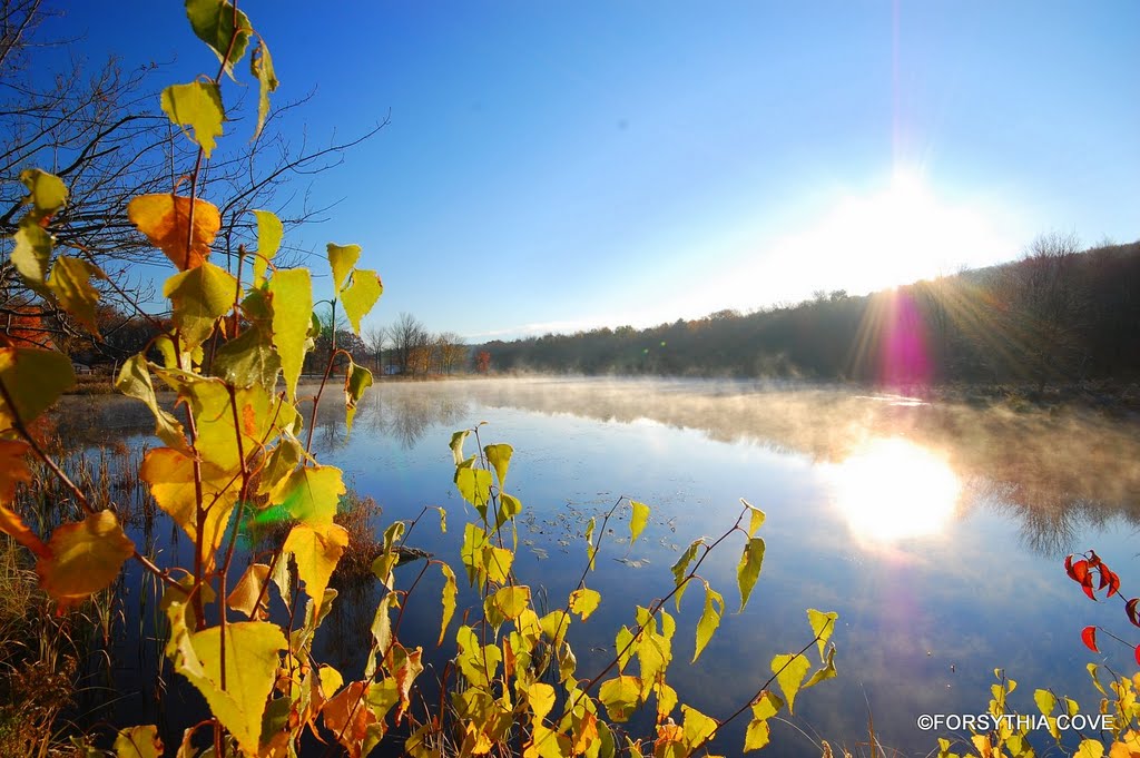 Shaddock Pond in Hurleyville, NY