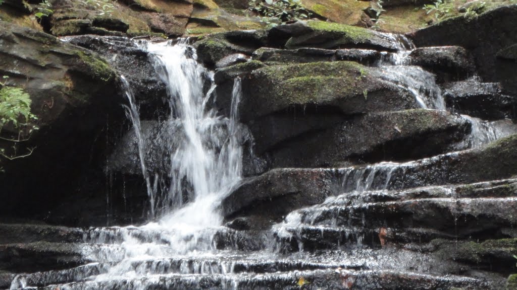 Sonoma Falls, Livingston Manor,, NY
