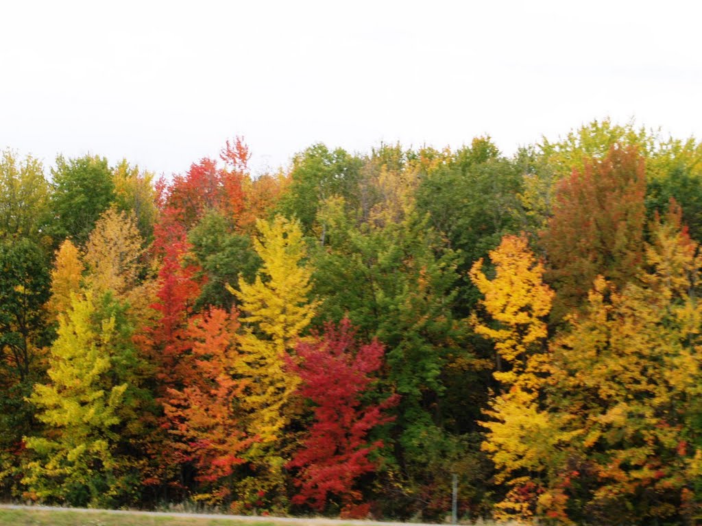 Central New York in Fall full color show