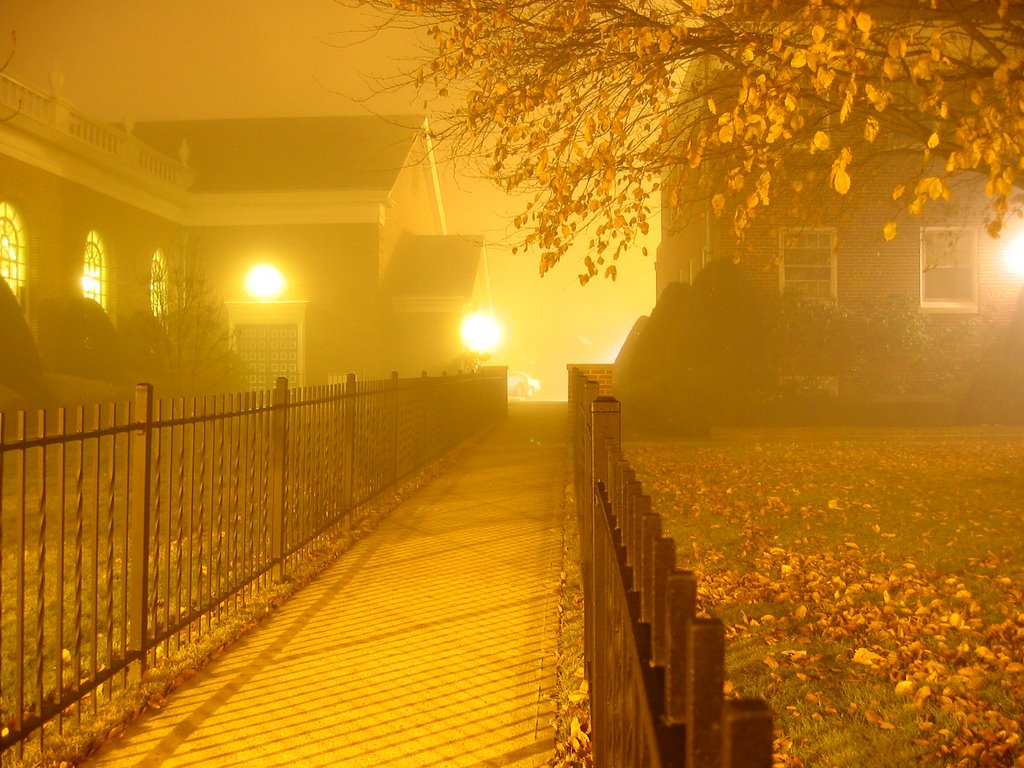 Fog