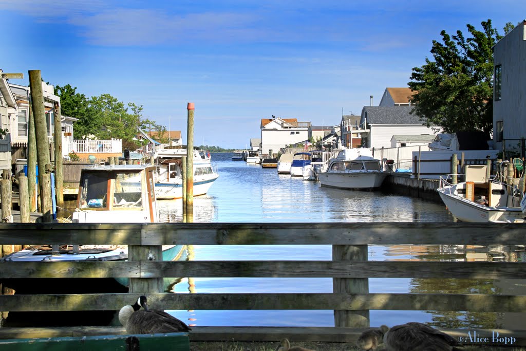 Way to the docks - www.alicebopp.com