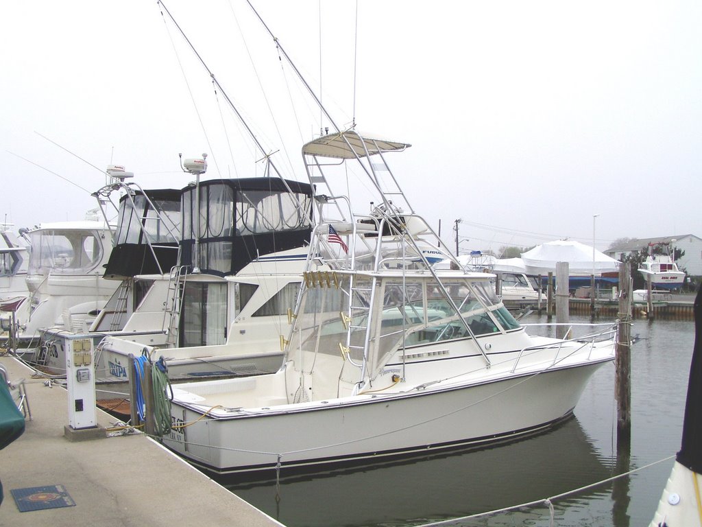B Dock - Anchorage Marina