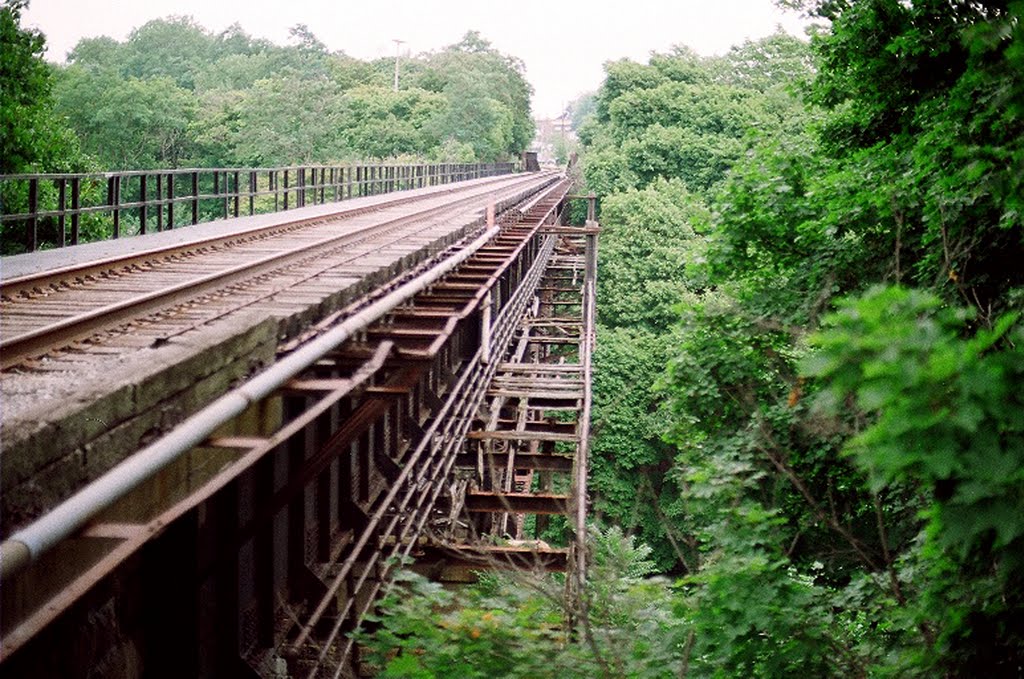 Top of the "Up-side-down" bridge