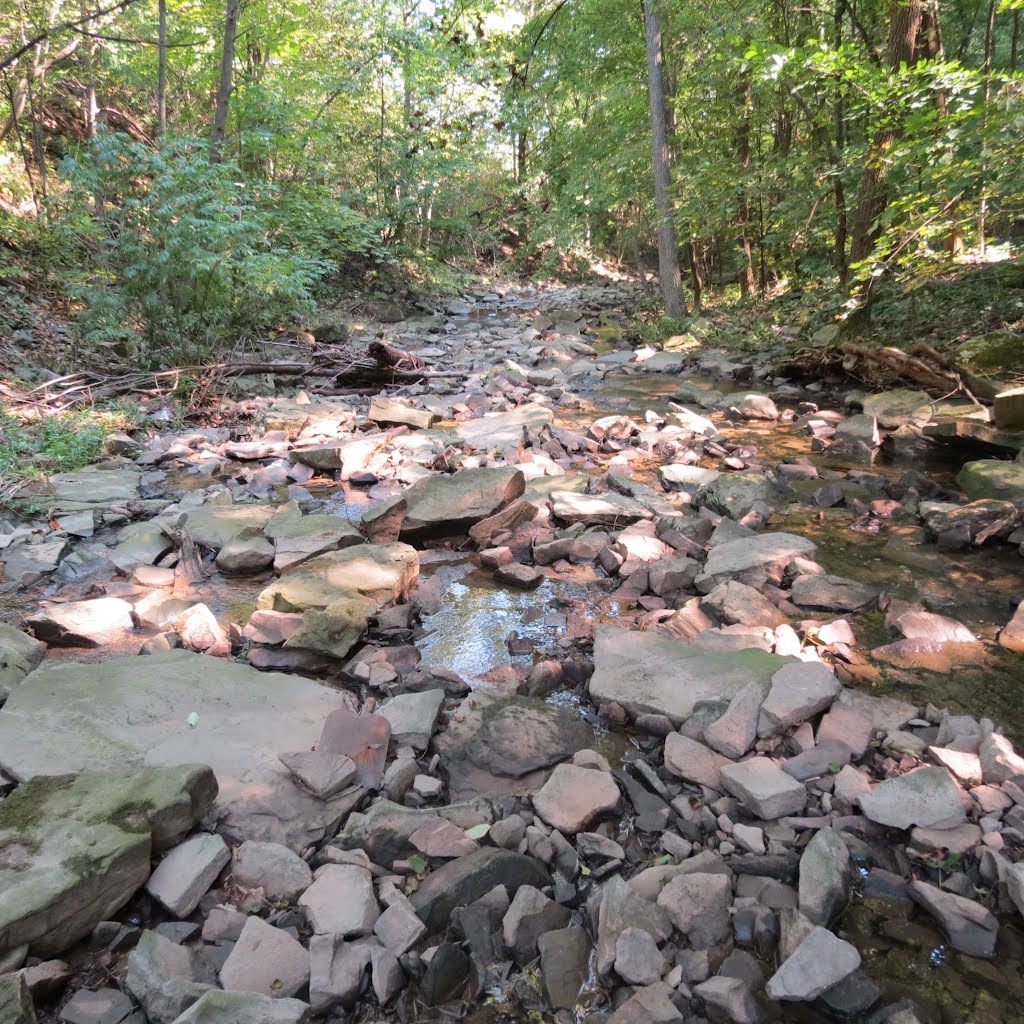 Indian Falls downstream of Falls 9/14/12