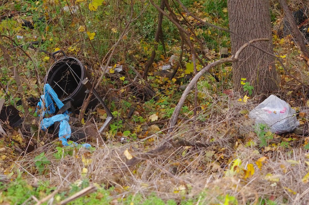 Lockport trash 1