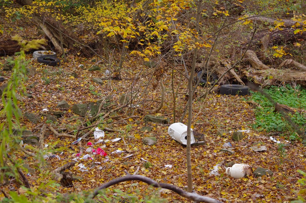 Lockport trash 2