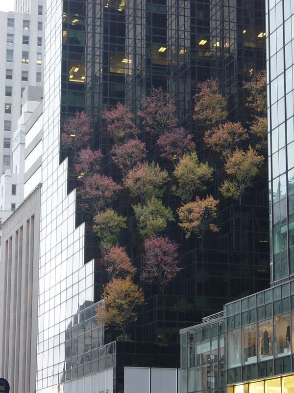 Trump in Autumn