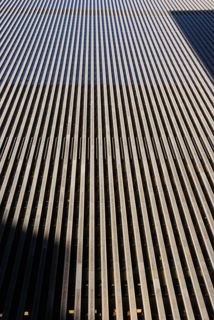Lines and shadows