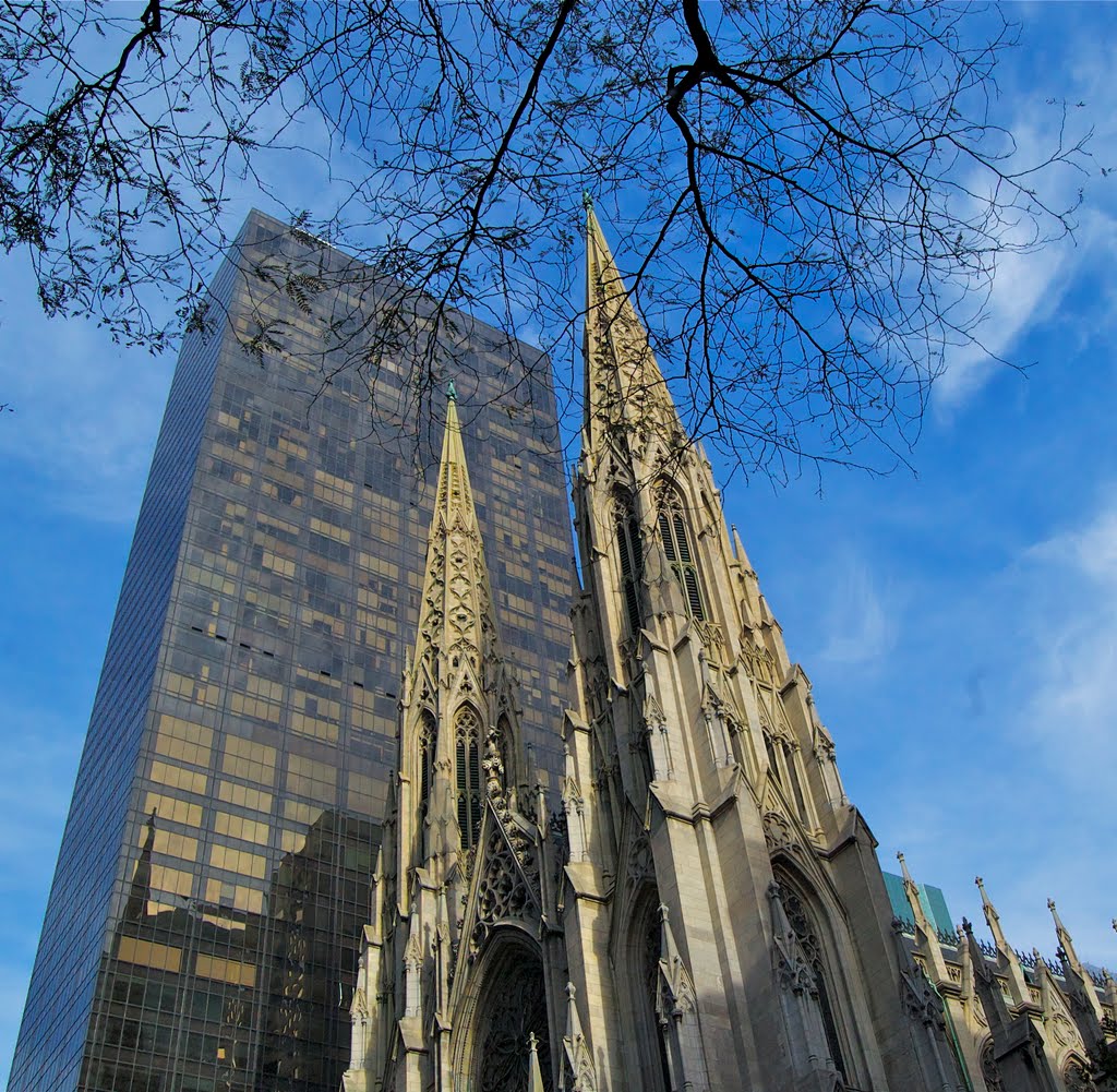 St. Patricks Cathedral  l