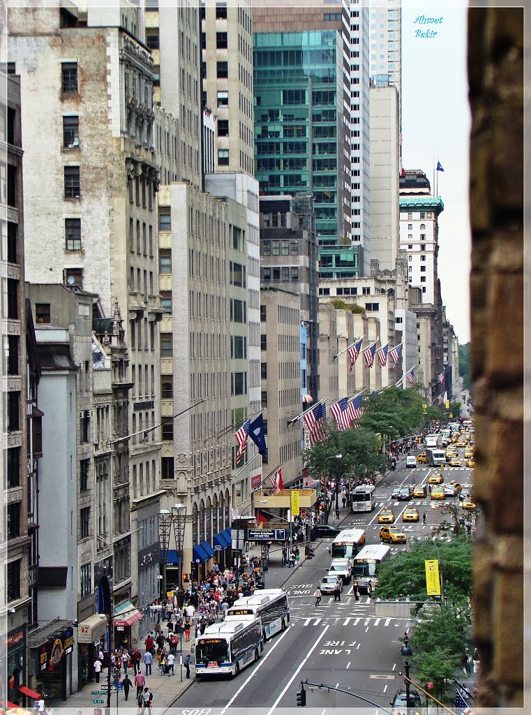 New York, New York.... 5th Avenue (by Ahmet Bekir)