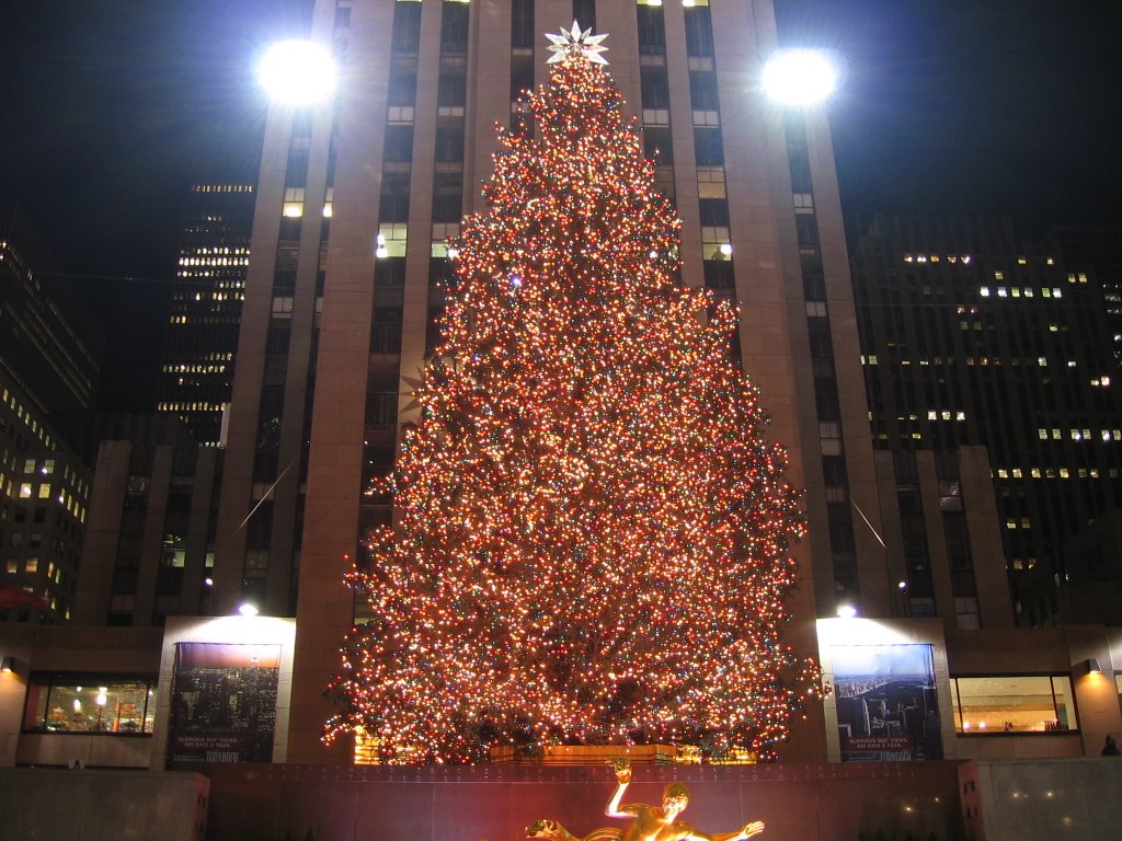 Christmas Tree at Rockefeller Center [007657]