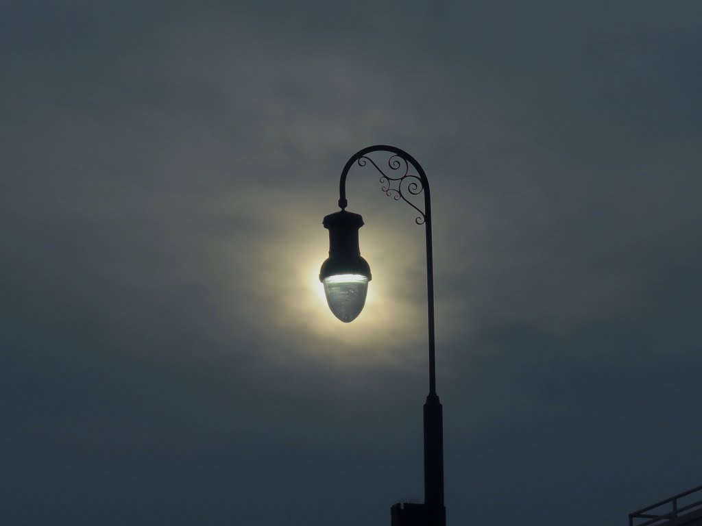 question of Light