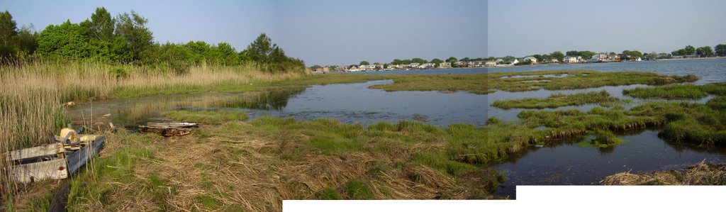 Hog Island Panorama
