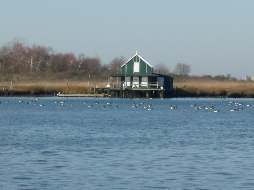 green house near andys marine