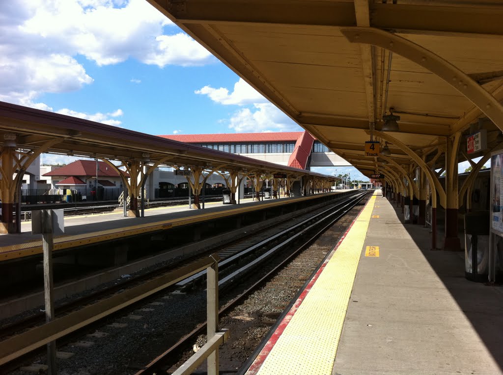 Platform Perspective