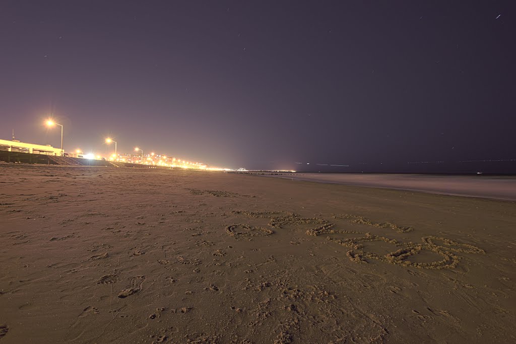 Long Beech at Night