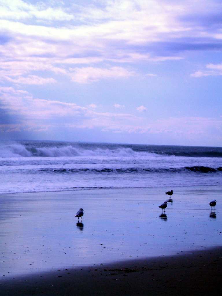 Long Beach is cold smoothness