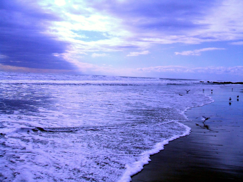 on the edge @ Long Beach