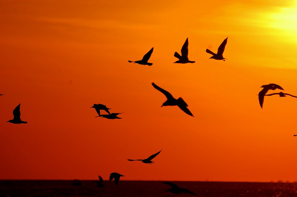 puesta de sol