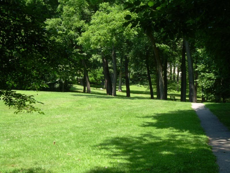 Waldmann Memorial Park