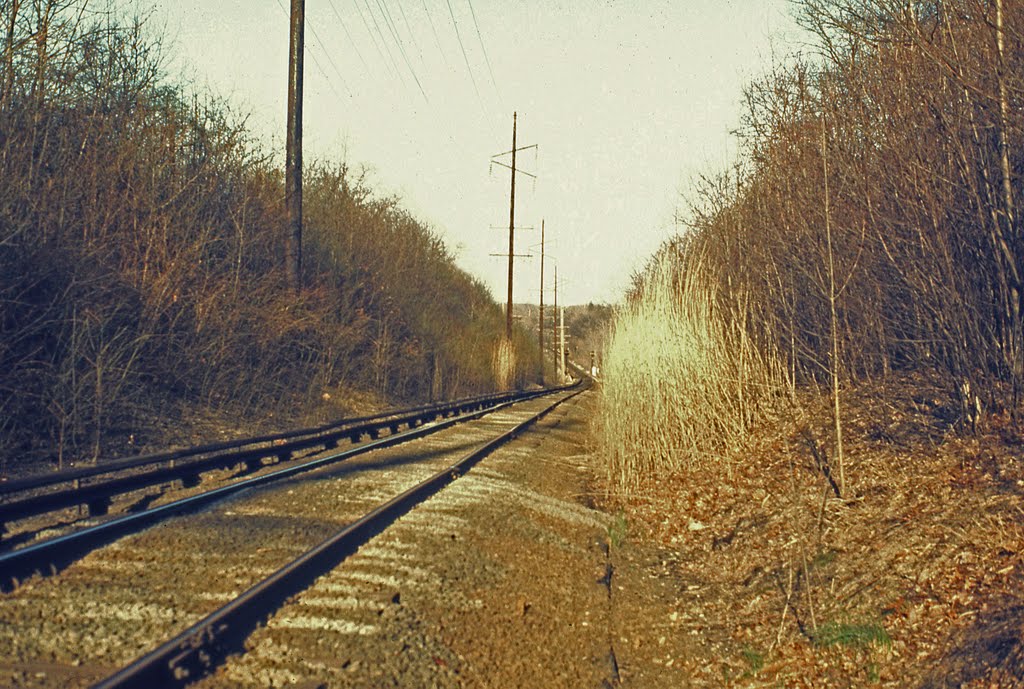Eastbound LIRR Tracks, Great Neck, NY