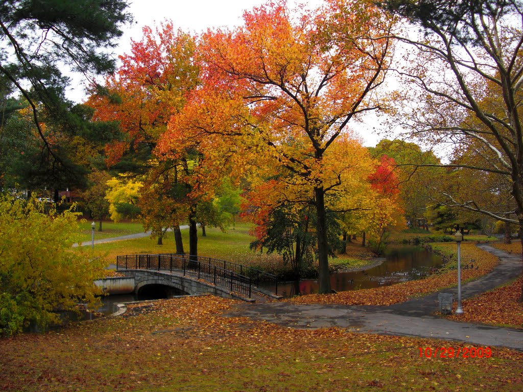 Autumn