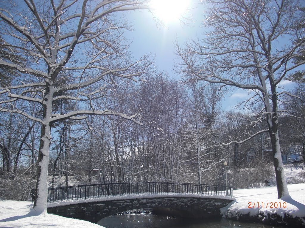 Manhasset valley park. winter