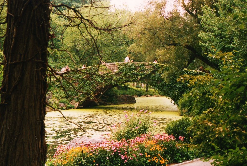 The Pond Central Park